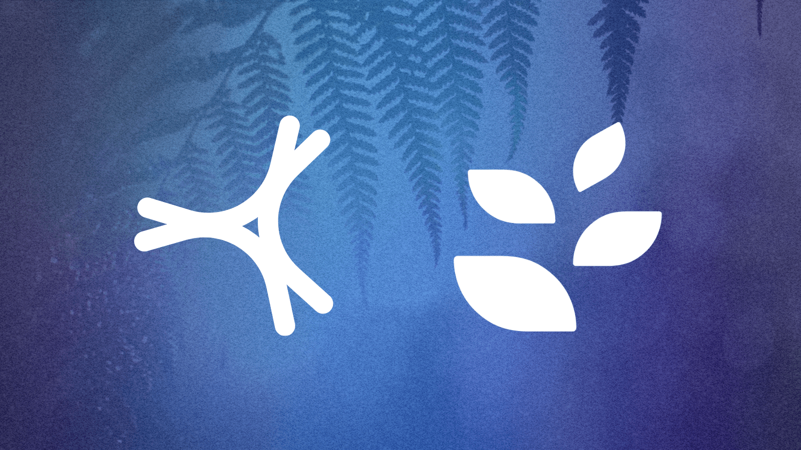 Blog Post Featured Image