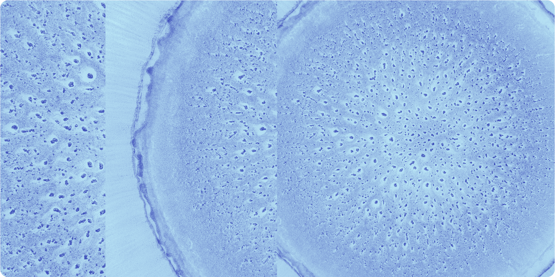 Blog Post Featured Image