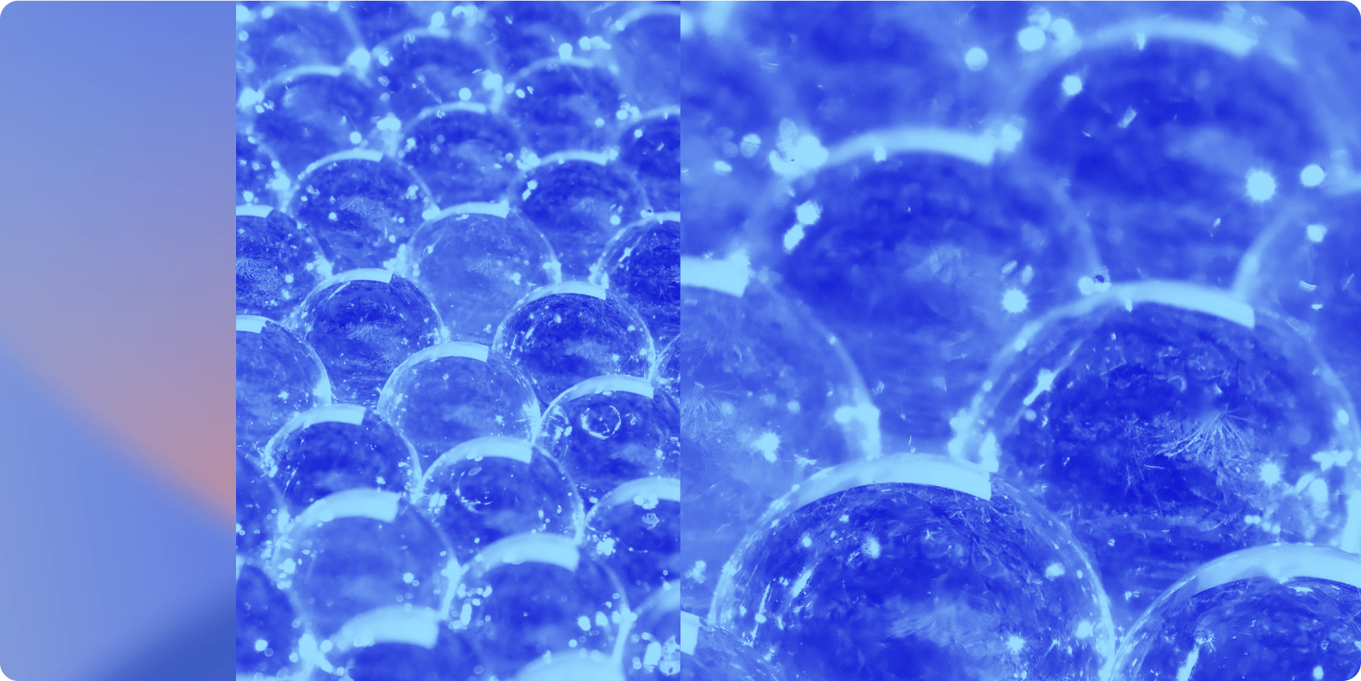 Blog Post Featured Image