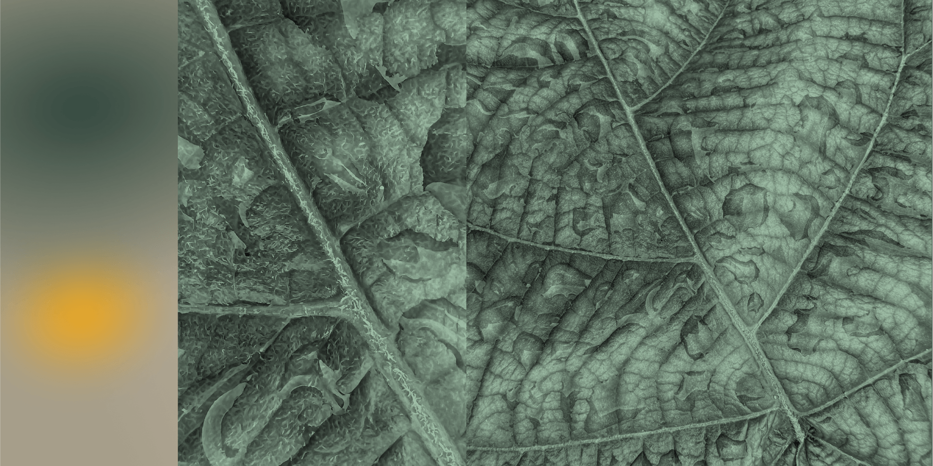 Blog Post Featured Image