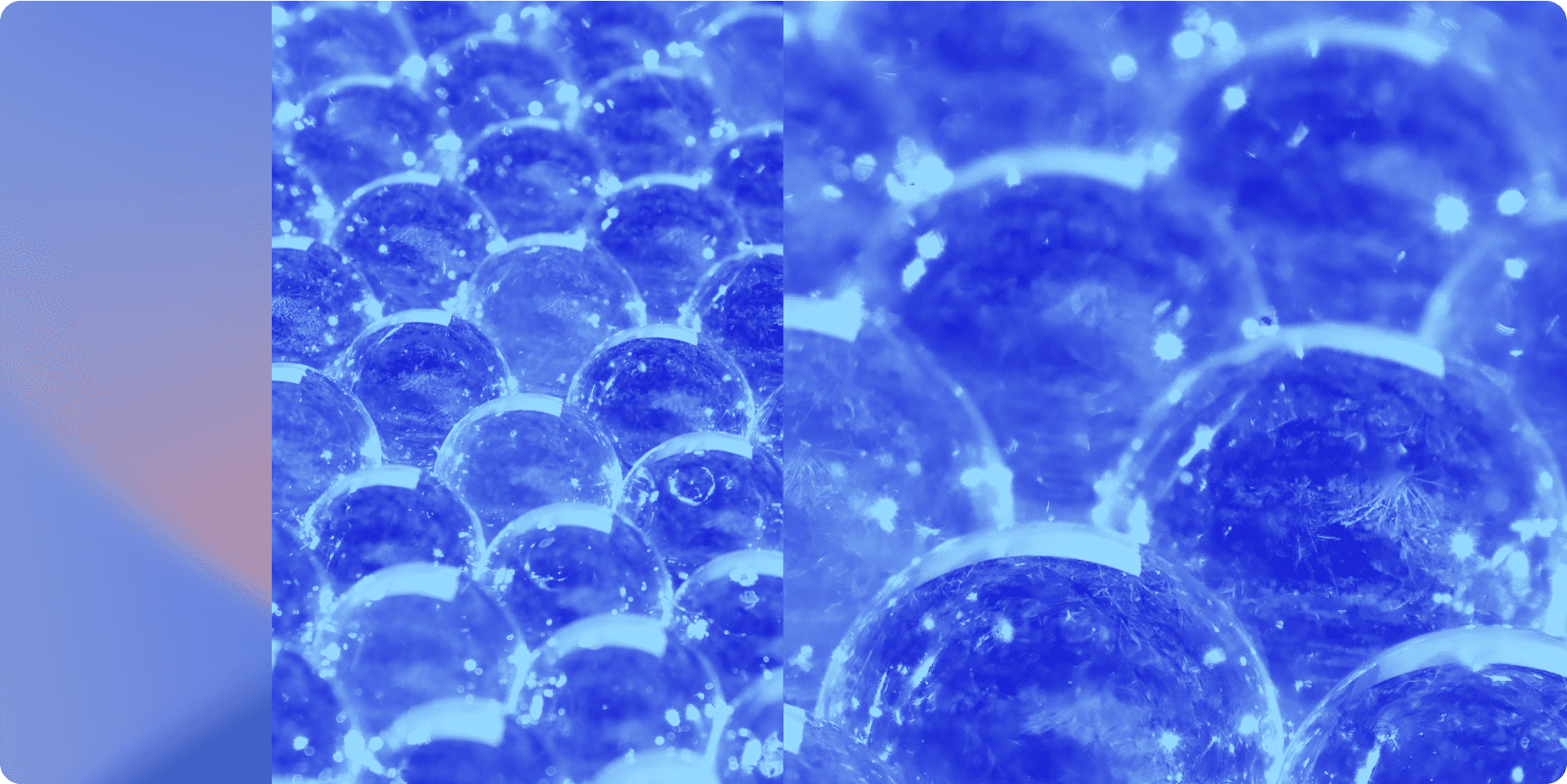 Taming AI costs: Leaner models for smarter agentic use